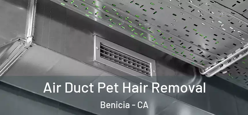 Air Duct Pet Hair Removal Benicia - CA
