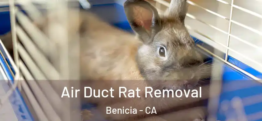 Air Duct Rat Removal Benicia - CA
