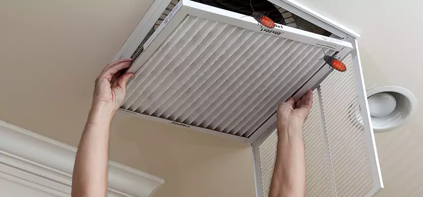 Preventive Cockroach-Proofing for Ducts in Benicia
