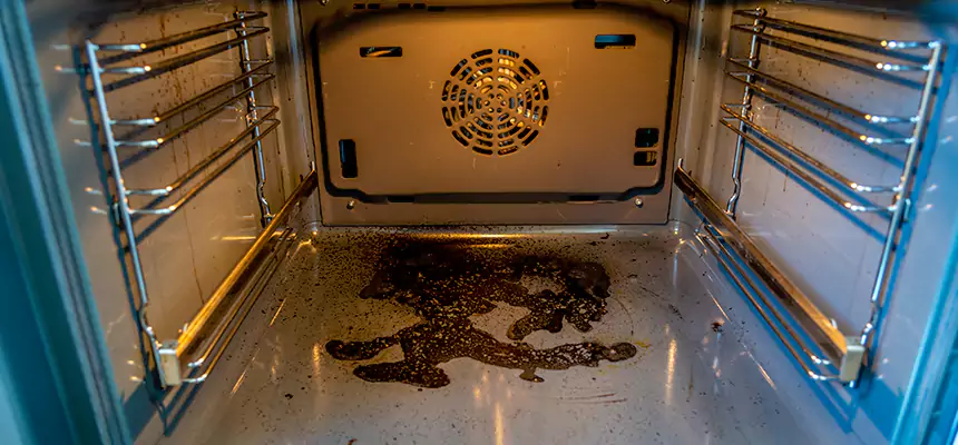 Our Dryer Vent Mold Cleaning Services in Benicia, CA