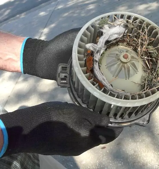 About Air Duct Rat Removal in Benicia, CA