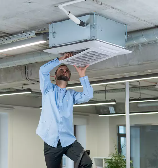Advanced Rodent Droppings In Vents in Benicia, CA