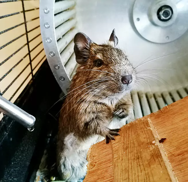 Why Homeowners & Businesses Trust Us Benicia, CA?